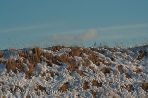 Snow Spotted Sand Dune