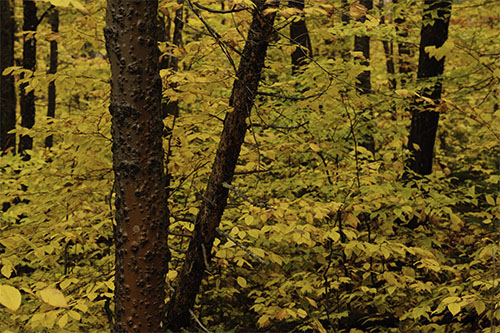 20101016_BAXTERSP_012_blog