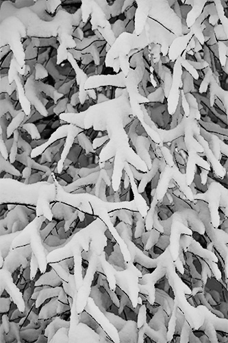 SNOW_0007