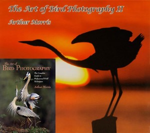 The Art of Bird Photography I & II