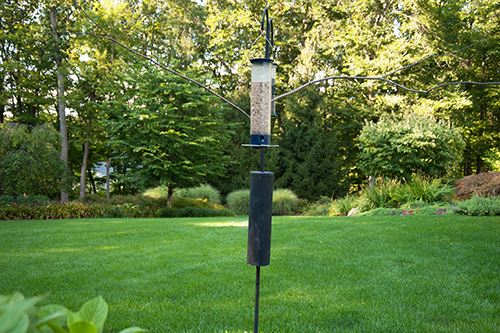 BIRDFEEDERS_00029 copy