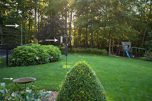 BIRDFEEDERS_00037 copy